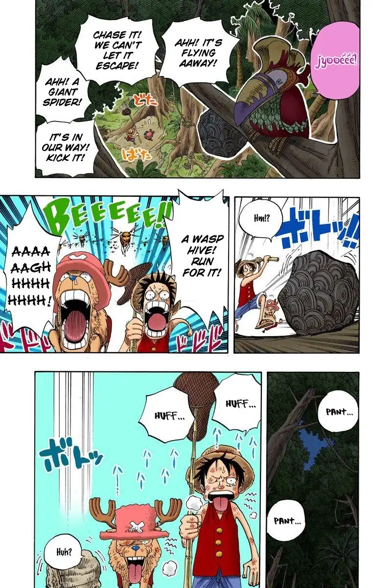 One Piece - Digital Colored Comics Chapter 230 18